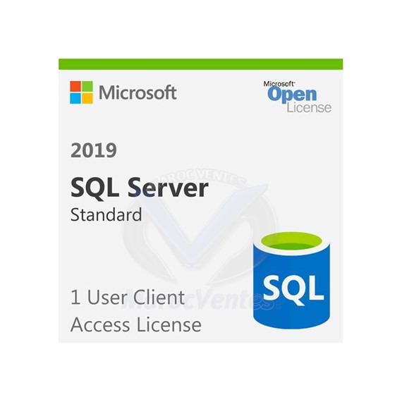 Licence SQL CAL 2019 SNGL OLP NL User CAL 359-06866