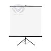 ECRAN DE PROJECTION SUR TREPIEDS 175 X 175