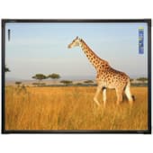 Activboard 10 Touch 78 Pouces
