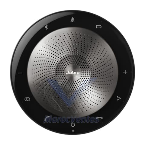 Haut-parleur SPEAK 710 MS 7710-309
