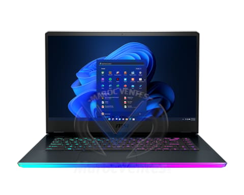 Msi Gaming GE66 Raider 10UG, Intel® Core™ i7-10870H (16M Cache, 2,20 GHz up to 5.00 GHz, 8 cĹ“urs), 16Go DDR4-2933, 1To SSD, GEFORCE® RTX3070 8 GB GDDR6, 15.6" FHD anti-glaire IPS-level 240hz, LECTEUR CARTE, Intel Wi-Fi 6 AX201 (2x2) & Bluetooth 5.1, 1X U
