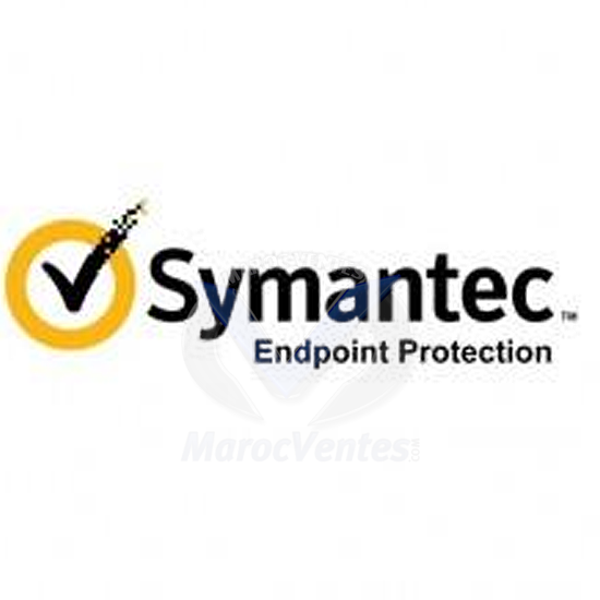 SYM ENDP PRTC 14 PER USER BNDL STD LIC EXP B ESSENTIAL 12 MOIS 2QQQOZF0-EI1EB