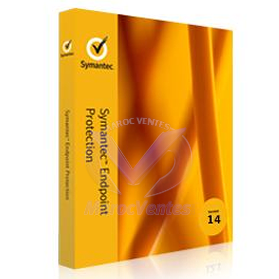 SYM ENDP PRTC 14 PER USER BNDL STD LIC EXP D ESSENTIAL 12 MOIS 2QQQOZF0-EI1ED