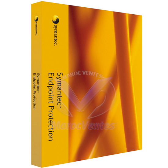 SYM ENDP PRTC 14 PER USER BNDL STD LIC EXP F ESSENTIAL 36 MOIS 2QQQOZF0-EI3EF