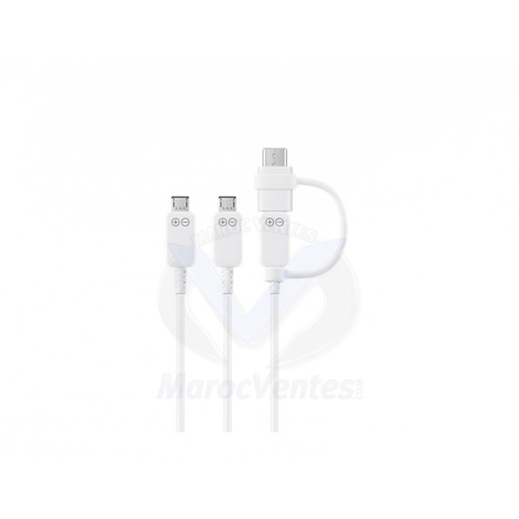 Câble de chargement multiple EP-MN930GWEGWW