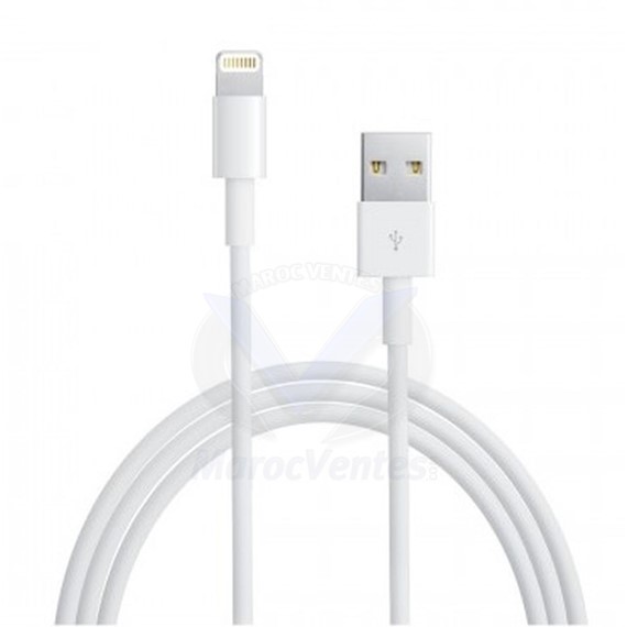 Câble Smart multifonctionnel avec ports USB d