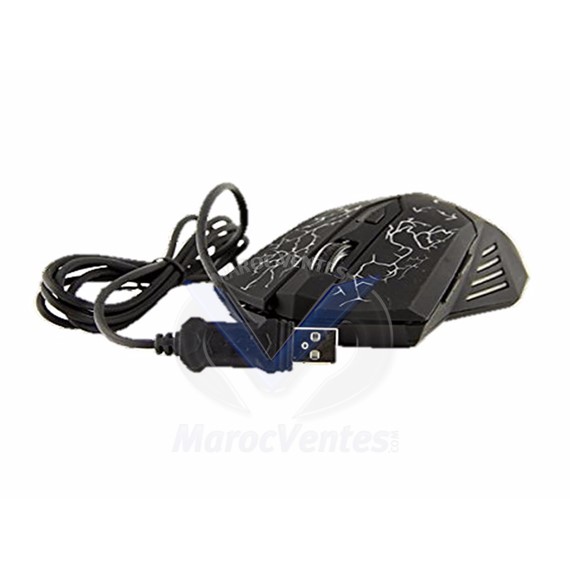 Souris Gamer LED couleur Noir 800-1200-2000 DPI 6 boutons HV-MS696