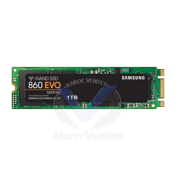 Disque dur interne SSD 1 TB 860 EVO SATA III M.2 MZ-N6E1T0BW