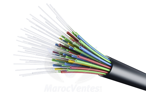 CABLE FIBRE OPTIQUE 12 BRINS MULTIMODE ARME 50/125 OM3 Maroc