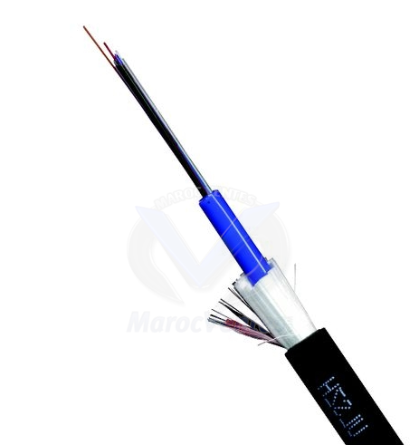 CABLE FIBRE OPTIQUE 12 BRINS MONOMODE ARME 9/125 LINK-TECH LIN-FIB/12B.M