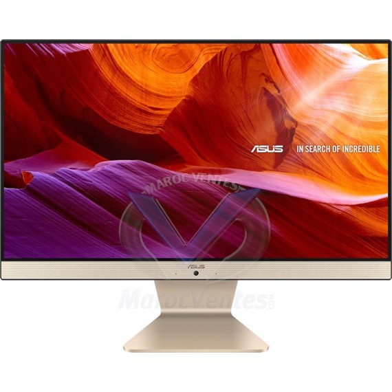 Ordinateur Tout-en-un Asus Vivo AiO V222GAK-BA254T 90PT0211-M06400