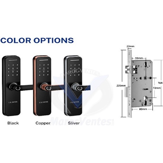 SERRURE DE PORTE INTELLIGENTE WIFI DI-H05B