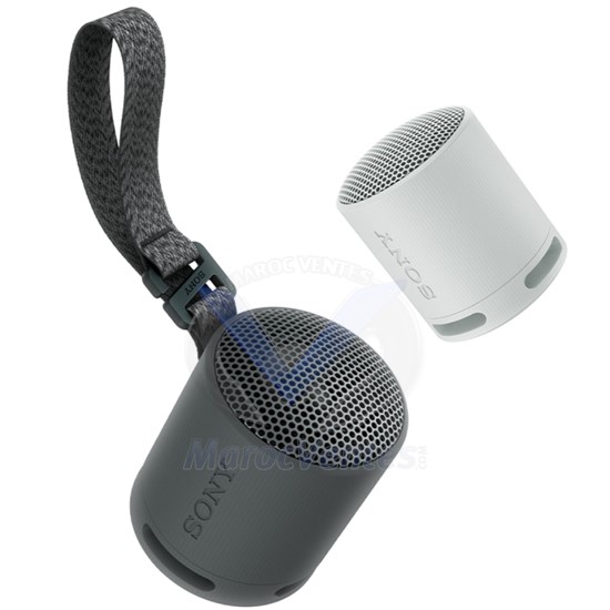 ENCEINTE PORTABLE Boîtier Compact Son Puissant et Clair SRS-XB100
