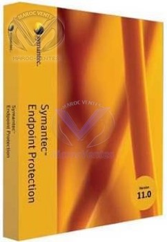 SYMANTEC ENDPOINT PROTECTION 11.0 BAND A ESSENTIAL 12MO (5-24users) 12706485