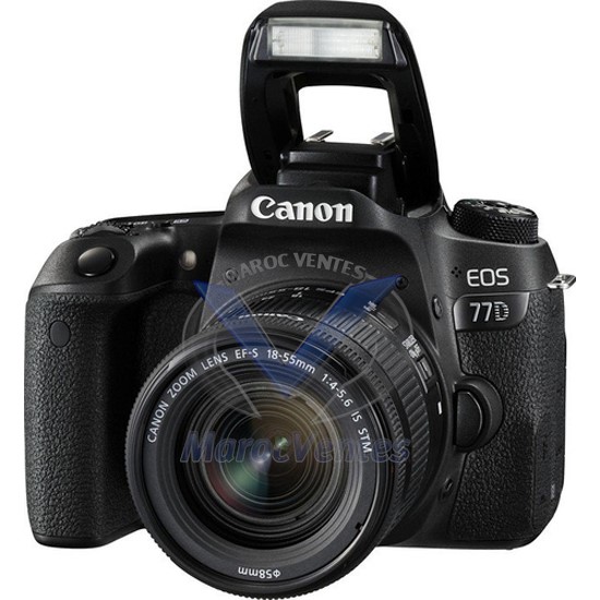 Appareil Photo Reflex EOS 77D + 18-55mm 1892C017AA