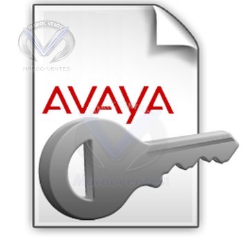 Licence IPO IP500 VCM addition de 4 canaux 202961