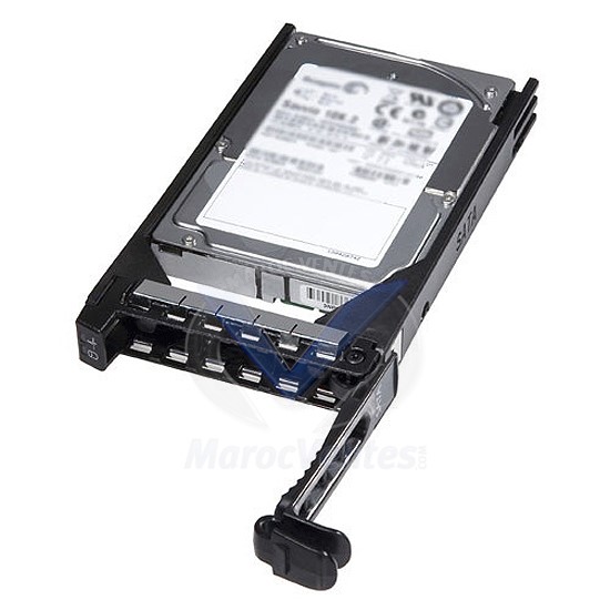 Disque dur - 300 Go - échangeable à chaud - 2.5" - SAS - 10000 tours/min 400-21619