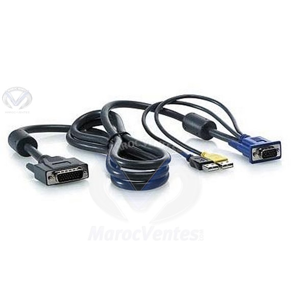 Câble USB HP 1x4 pour console KVM 6 pieds AF613A