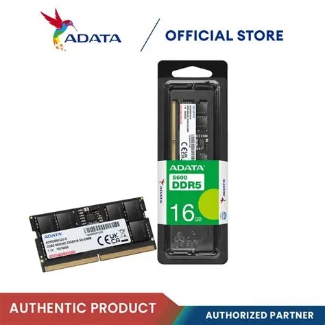 ADATA DDR5 5600 MT/S SO-DIMM 16GB BARRETTE MÉMOIRE LAPTOP 12M AD5S560016G-S