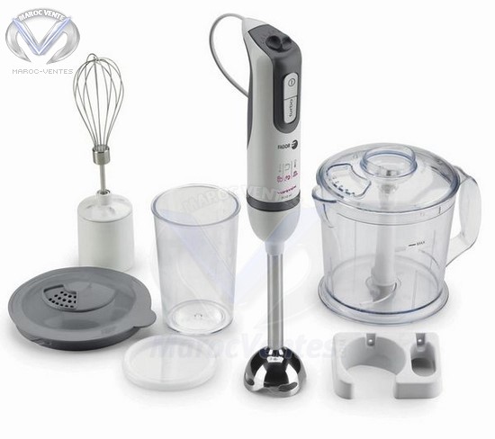 Mini Robot 500W B-520PA