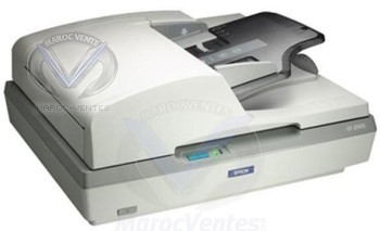 Scanner à plat GT 2500 B11B181021
