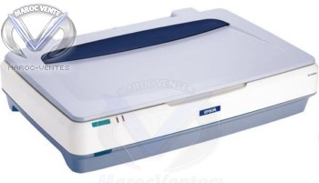 Scanner à plat A3 Couleur B11B195021