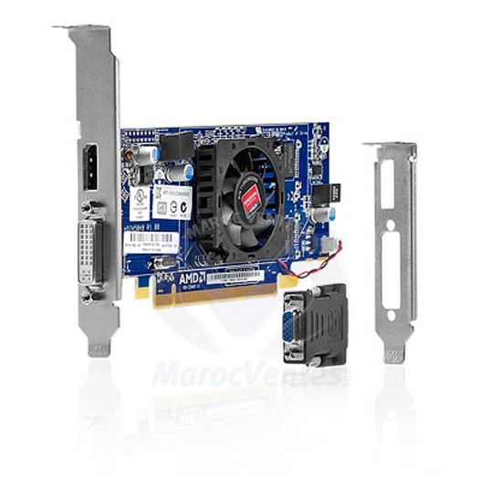 Carte graphique AMD Radeon HD 7450 DP (1GB) DH PCIe x16 Card B1R44AA