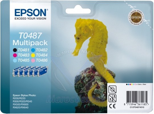 EPSON PACK 6 COULEURS R200/220/300/320/340/RX500-EPSON PACK 6 COULEURS R200/220/300/320/340/RX500