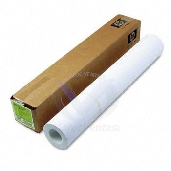 Papier couché à fort grammage C6029C