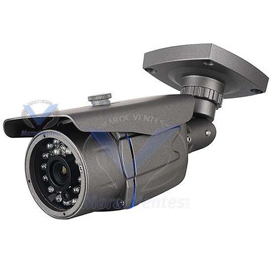 Camera COULEUR EXTERIEURE 1/3" 600 TVL D1210