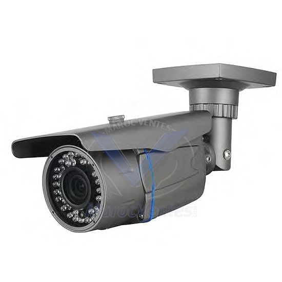 CAMERA COULEUR EXTERIEUR 420TVL SONY D1307