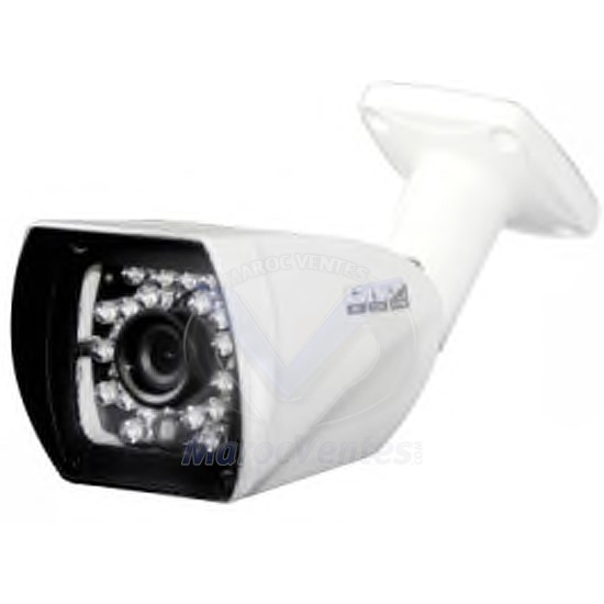 Camera IP 1 MP Etanche Weatherproof Infrarouge D2113-D2841