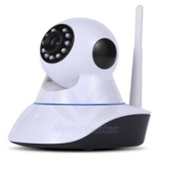 Camera PTZ IP Dome 1.3 MP Infrarouge D2845