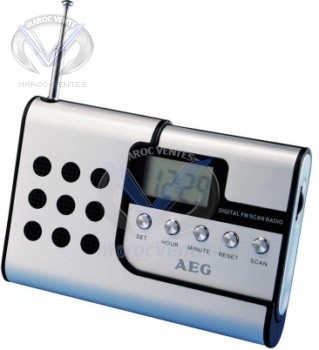 Radio DRR 4107