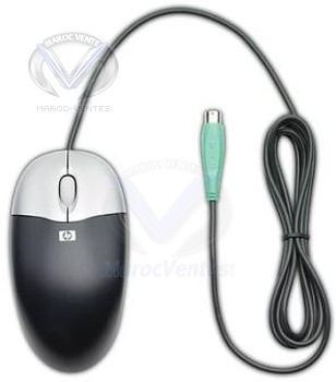 Souris à molette optique 2boutons HP PS/2