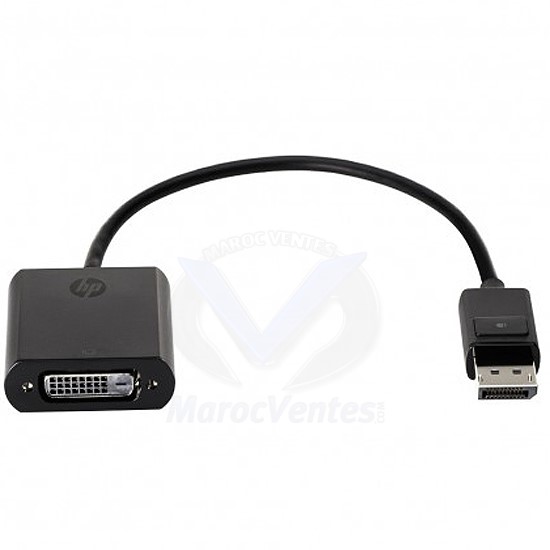 Adaptateur DisplayPort Vers DVI-D 19,0 cm FH973AA