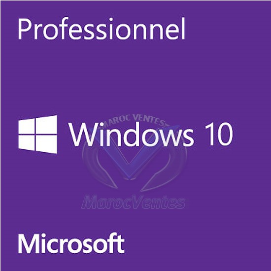 MS Win Pro 10 64Bit French 1pk DSP OEI DVD FQC-08920