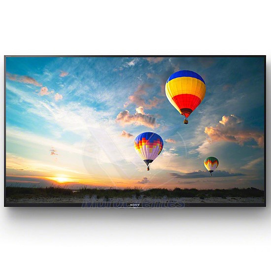 Ecran Dynamique Professionnel 4K HDR BRAVIA 49" FW-49XE8001