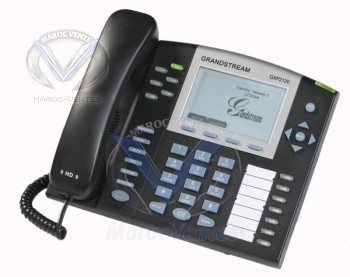 Téléphone IP 6 lignes SIP, 2 ports Ethernet, PoE, Multiligne GXP2120