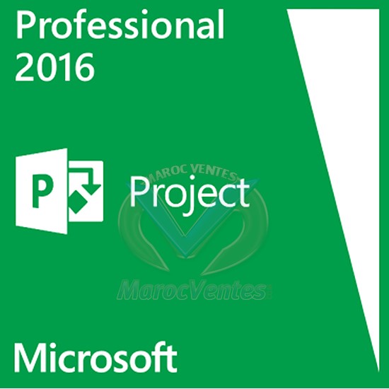 Project Professional 2016 avec 1 Project Server CAL H30-05613