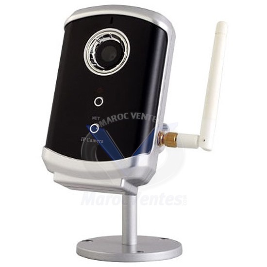 CAMERA IP IP21