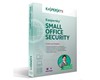 KASPERSKY Small Office Security (10 Postes + 1 Serveur) / 1an KL4528XBKFS-MAG