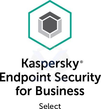 Endpoint Security for Business Select French Africa Editio 15-19 Node 1 year Base License KL48638AMFS