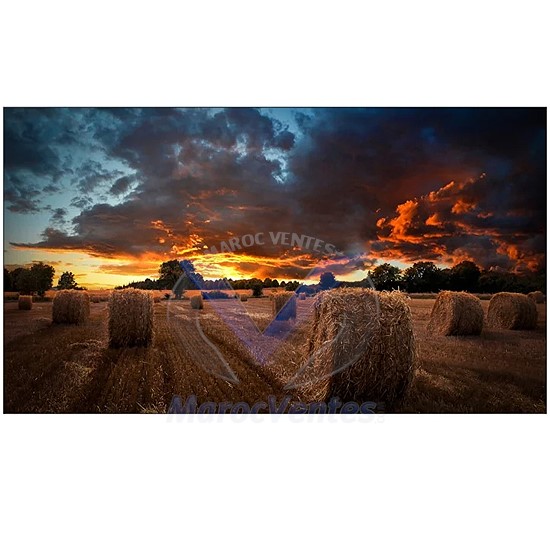 Ecran Affichage Dynamique Gamme V VM55T-U VMT-U Series 55" LCD Rétro-Eclairé par LED Full HD LH55VMTUBGBXEN