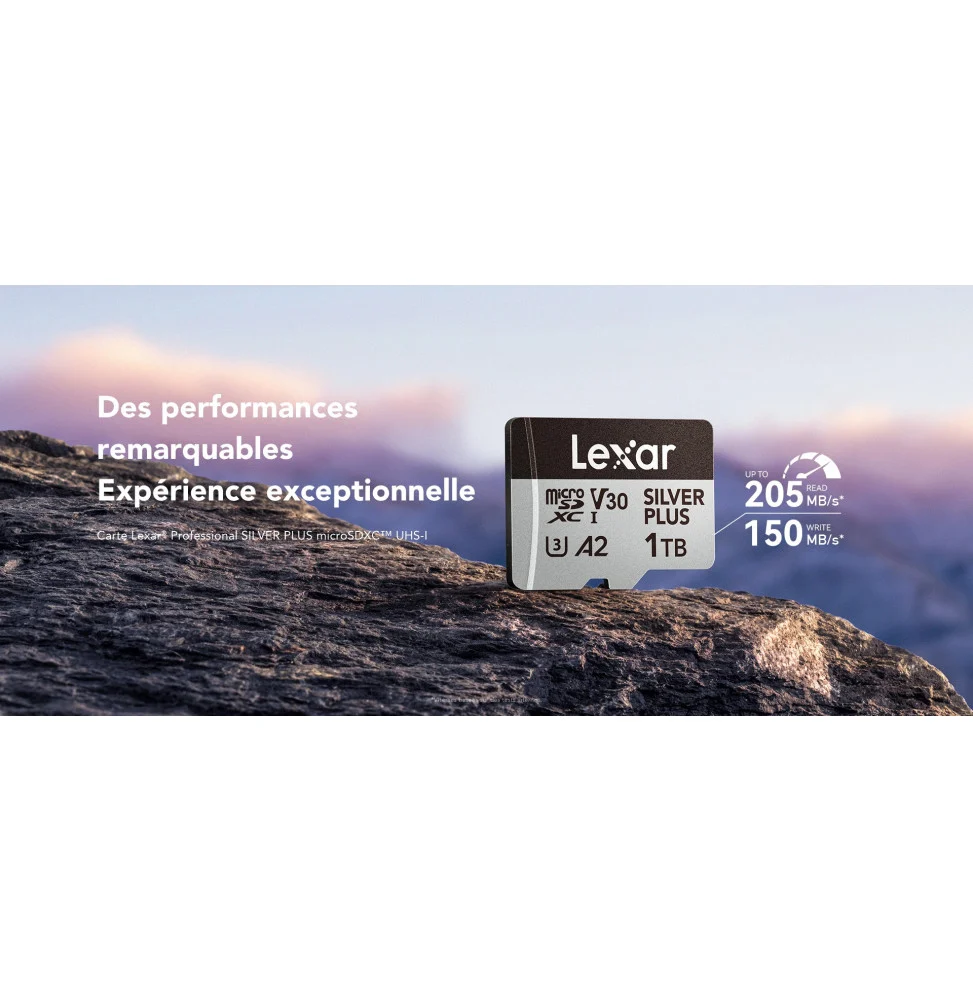 Carte SD Silver Plus 256GB Professional microSDXC™ UHS-I LMSSIPL256G-BNANG