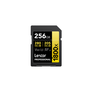 Carte SD SD1800X 256GB Professional LSD1800256G-BNNNG