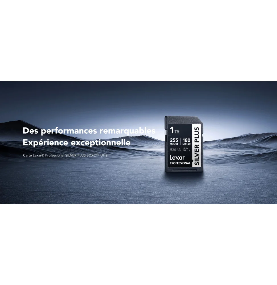 Carte SD Silver Plus 256GB Professional SDXC UHS-I LSDSIPL256G-BNNNG