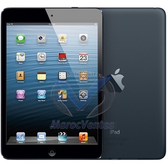 iPad mini - Wi-Fi + Cellular 64Go - Noir & ardoise MD542NF/A