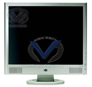 MONITEUR HP PAVILION VS19 TFT PAV-VS19TFT