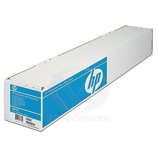 HP PROFESSIONAL SATIN PHOTO PAPER-1118 MM X 15.2 M-HP PROFESSIONAL SATIN PHOTO PAPER-1118 MM X 15.2 M